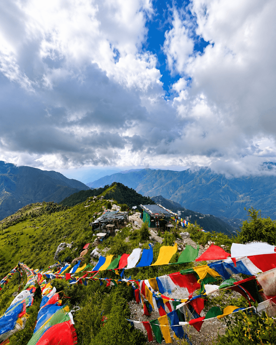 Dalai Hills