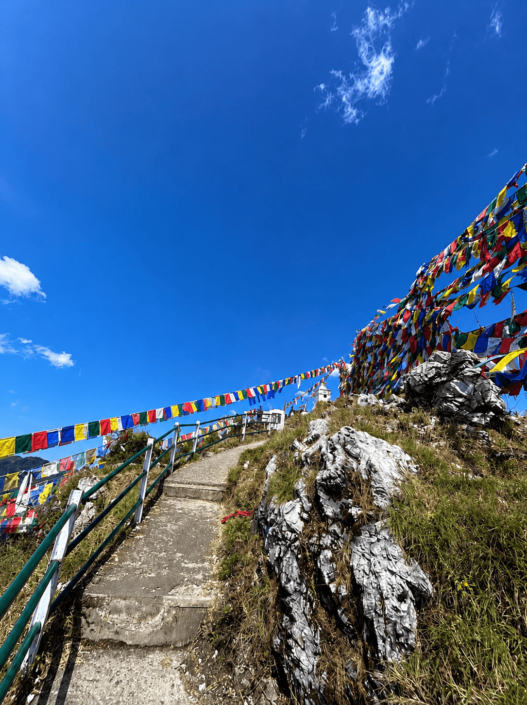 Dalai Hills
