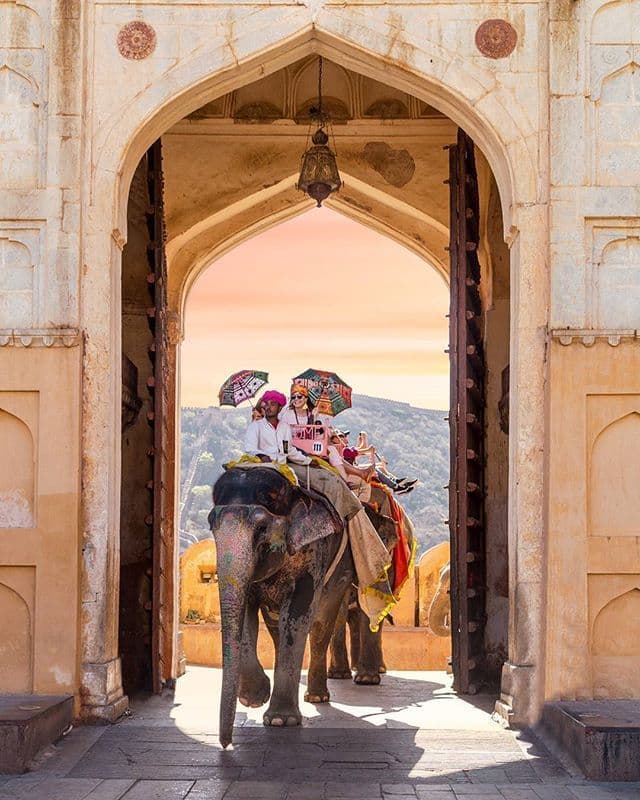 Elephant Ride