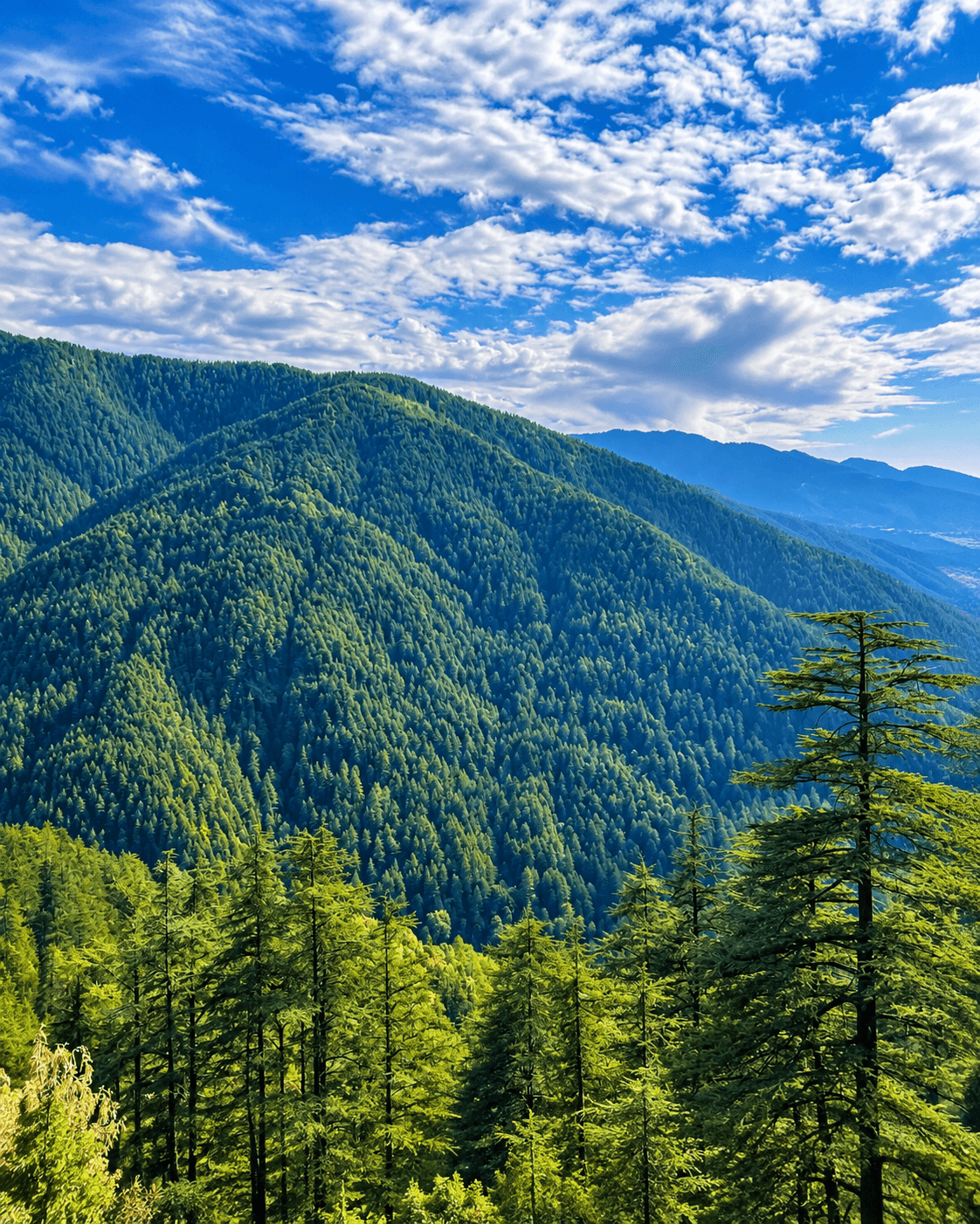 Green Valley