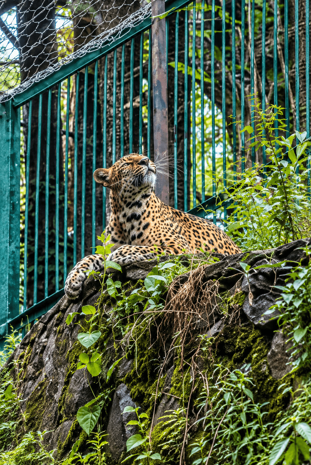 Himalayan Nature Park