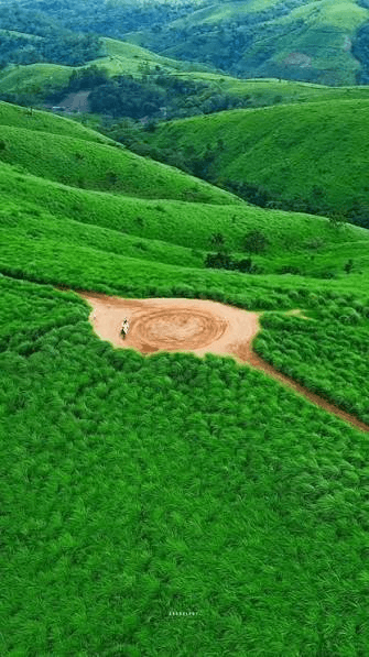 Kerala Honeymoon Package – Vagamon & Munnar Escape