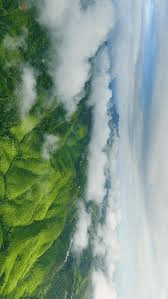 Vagamon Meadows