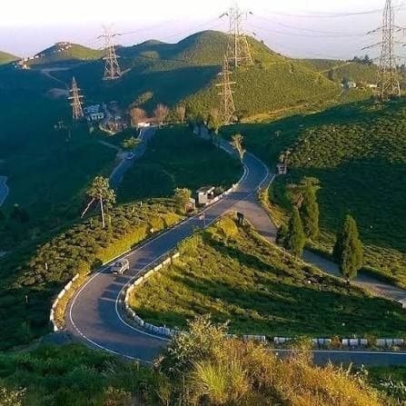 Tingling View Point