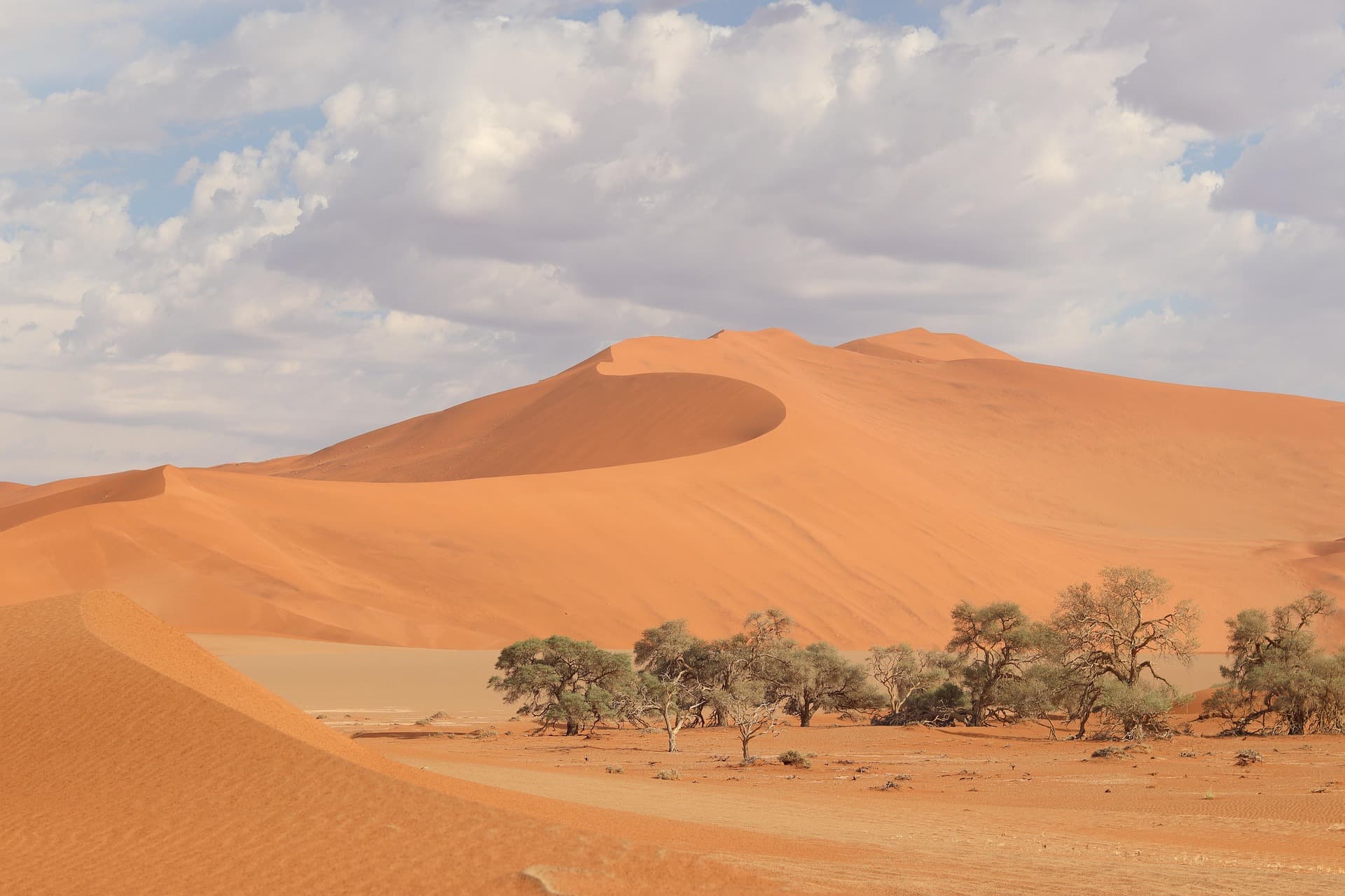 Sam Sand Dunes