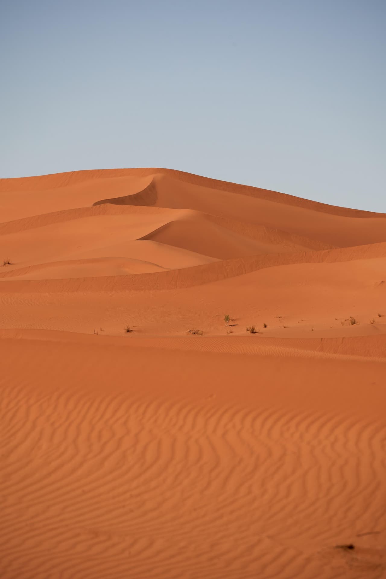 Sam Sand Dunes