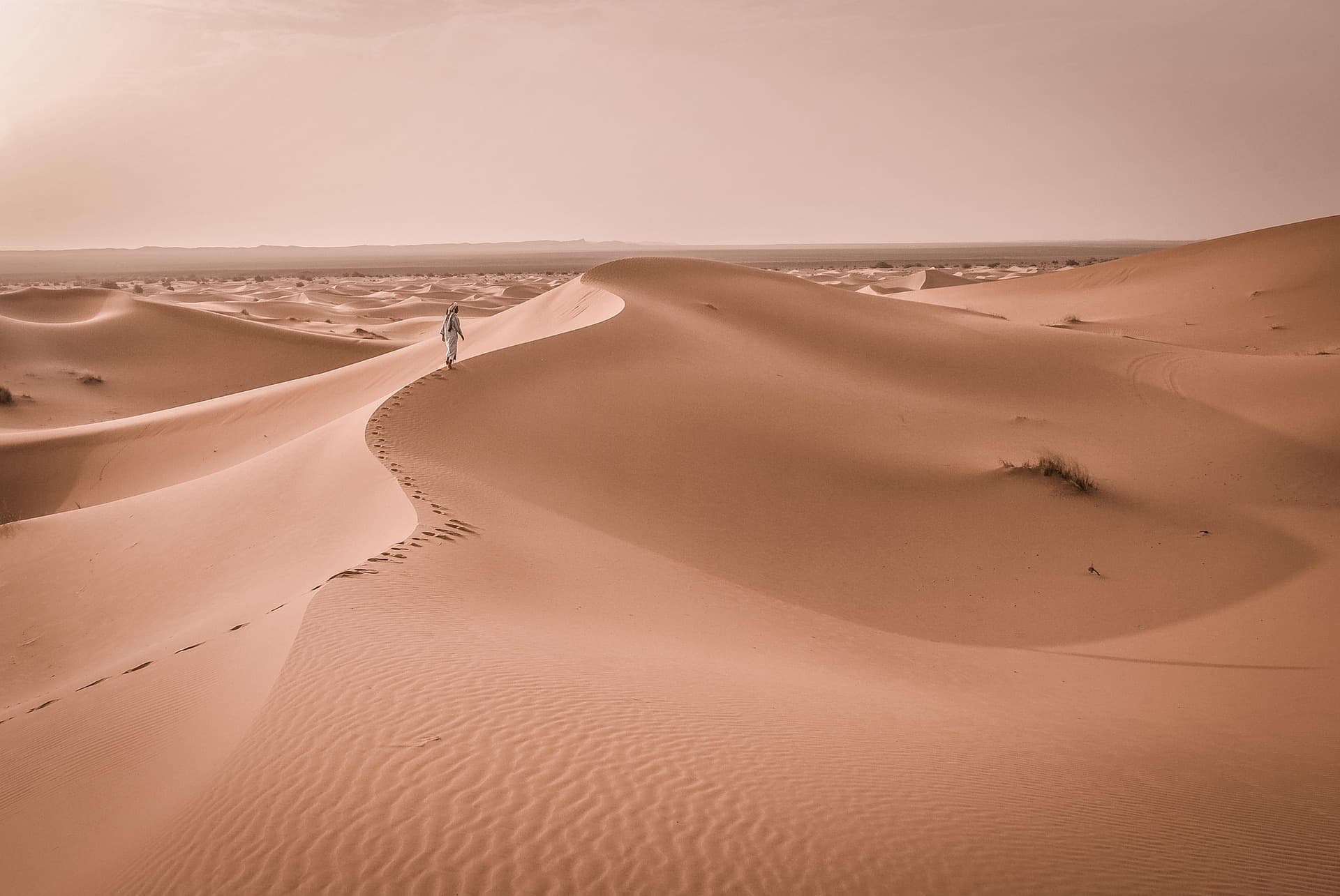 Sam Sand Dunes