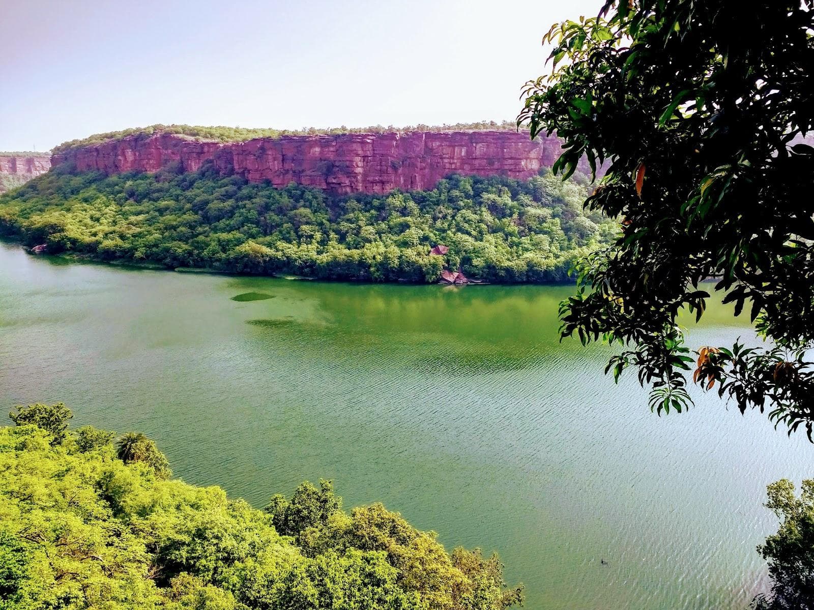 Jawahar Sagar sanctuary