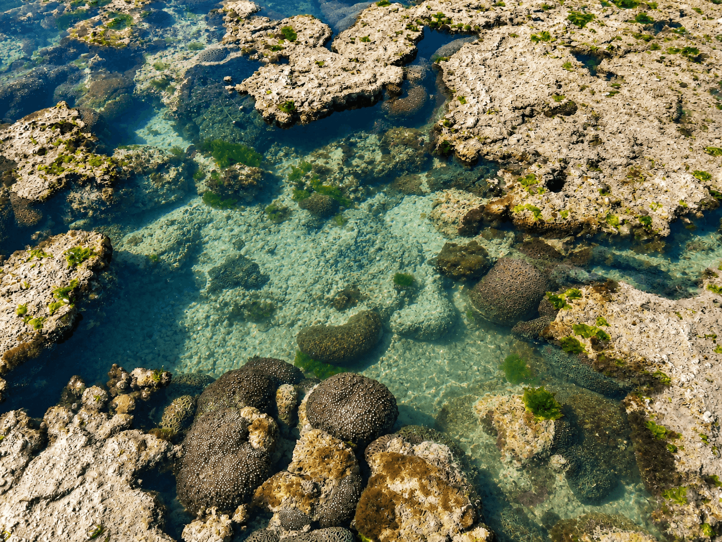 Marine National Park