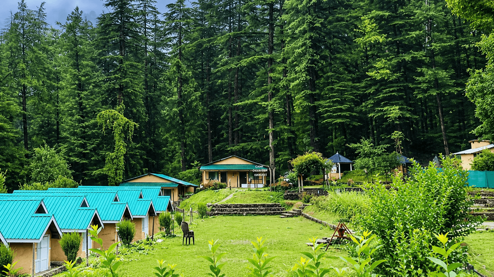 Mashobra Forest
