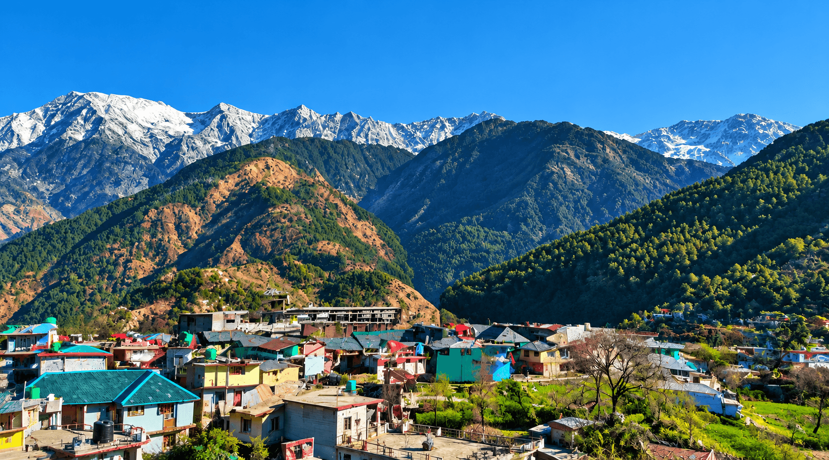 Naddi View Point