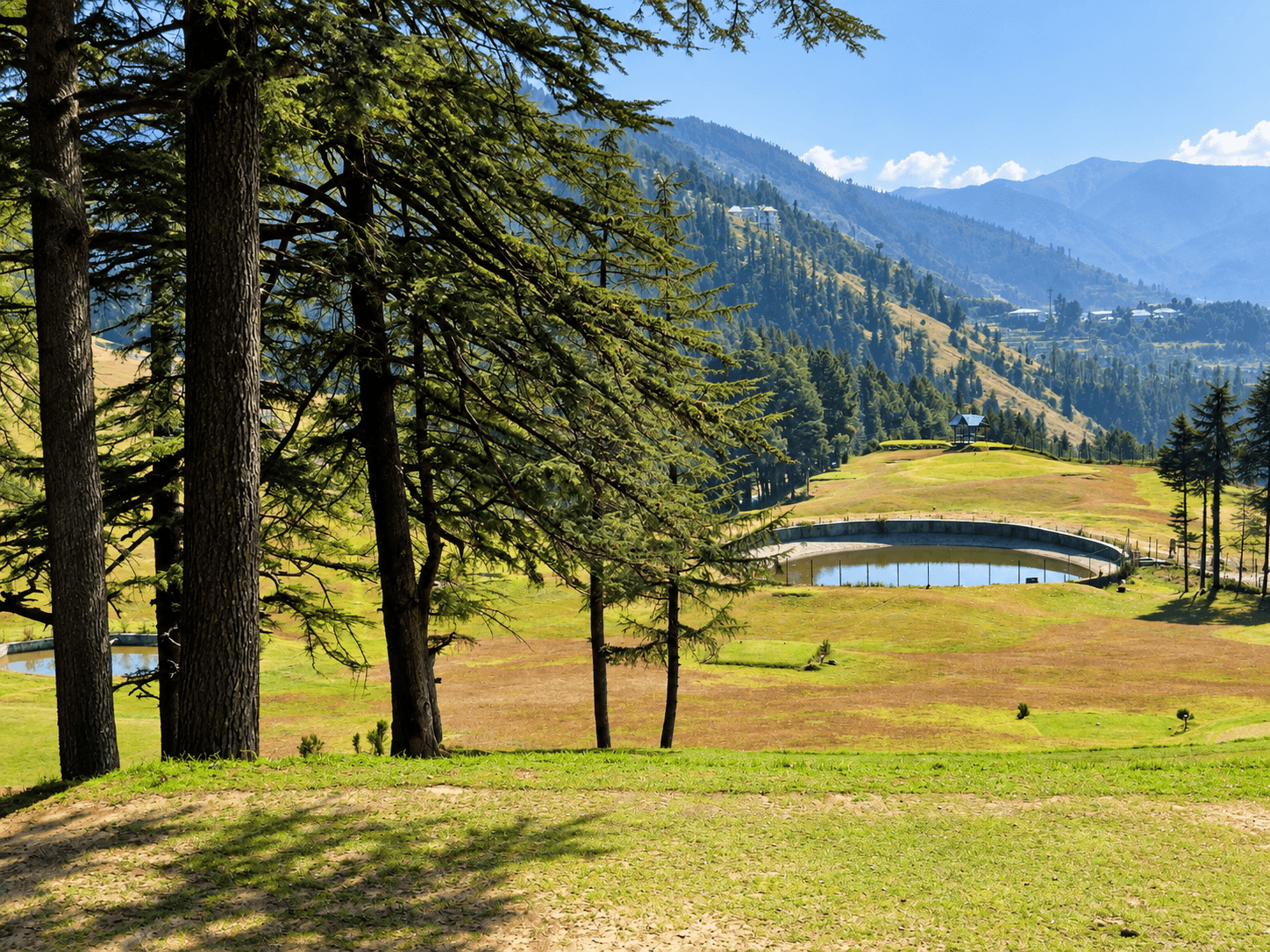 Naldehra Golf Course