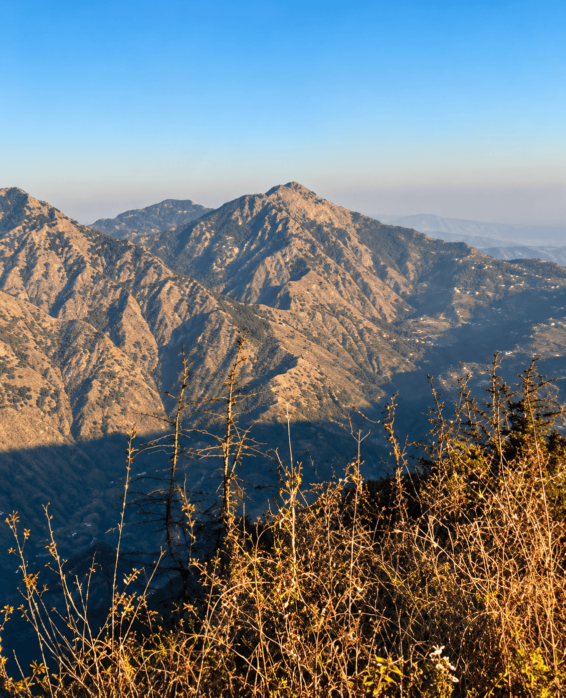 Naldehra Mountain