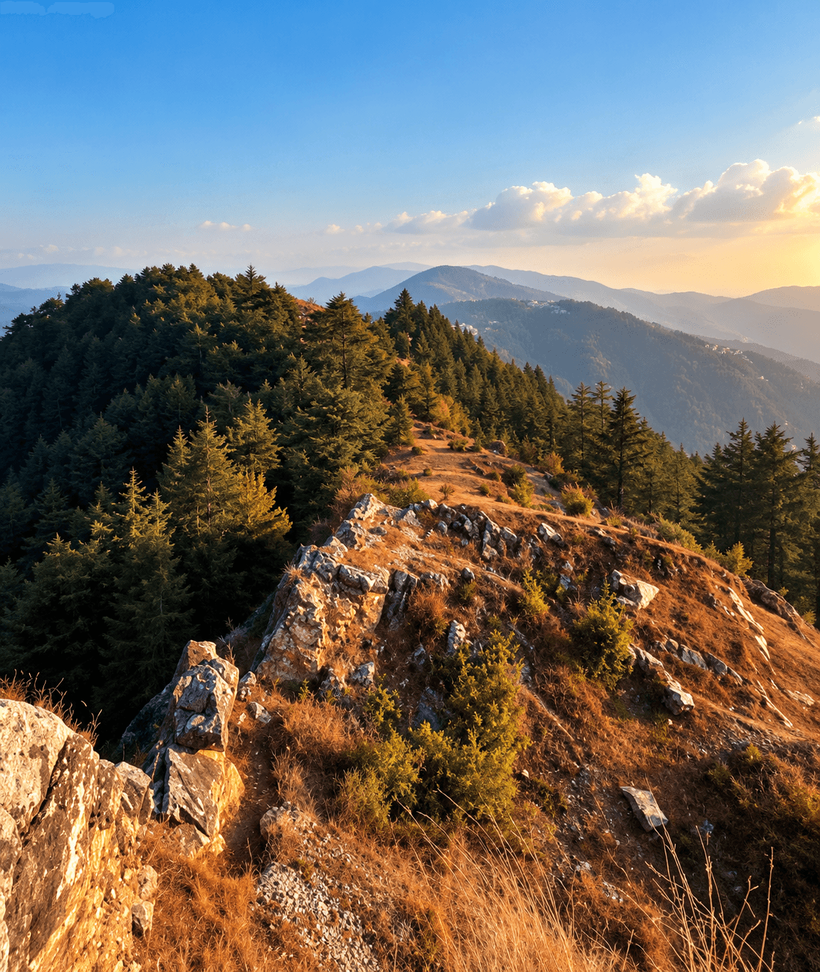 Shimla Offbeat Escape