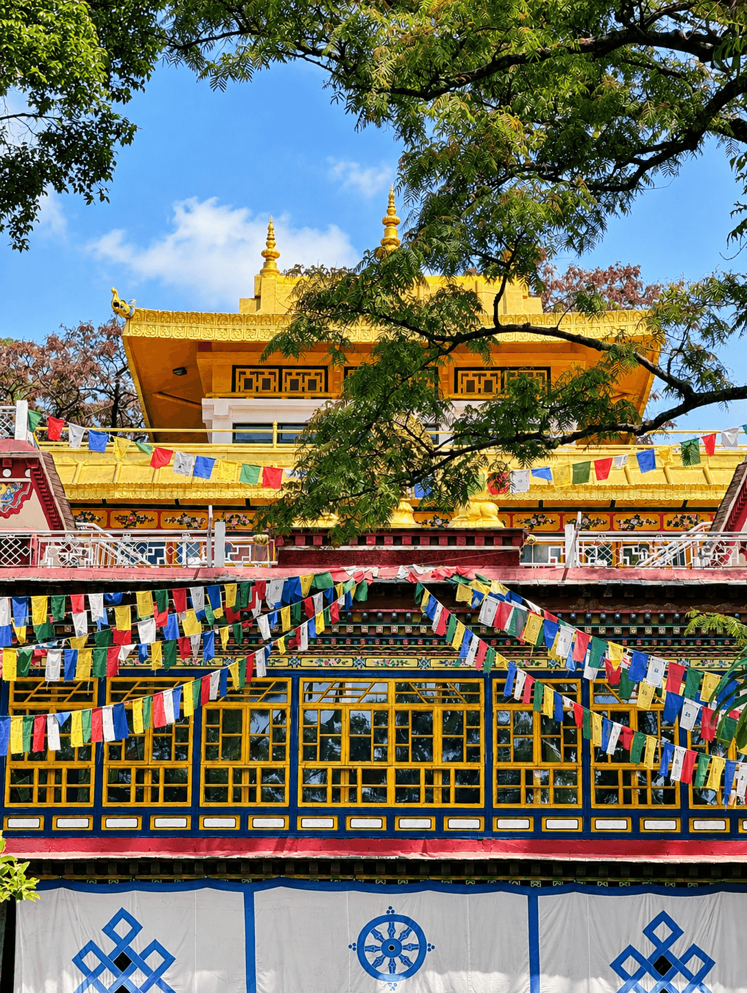 Dharamshala Kangra Family Tour Package from Chandigarh