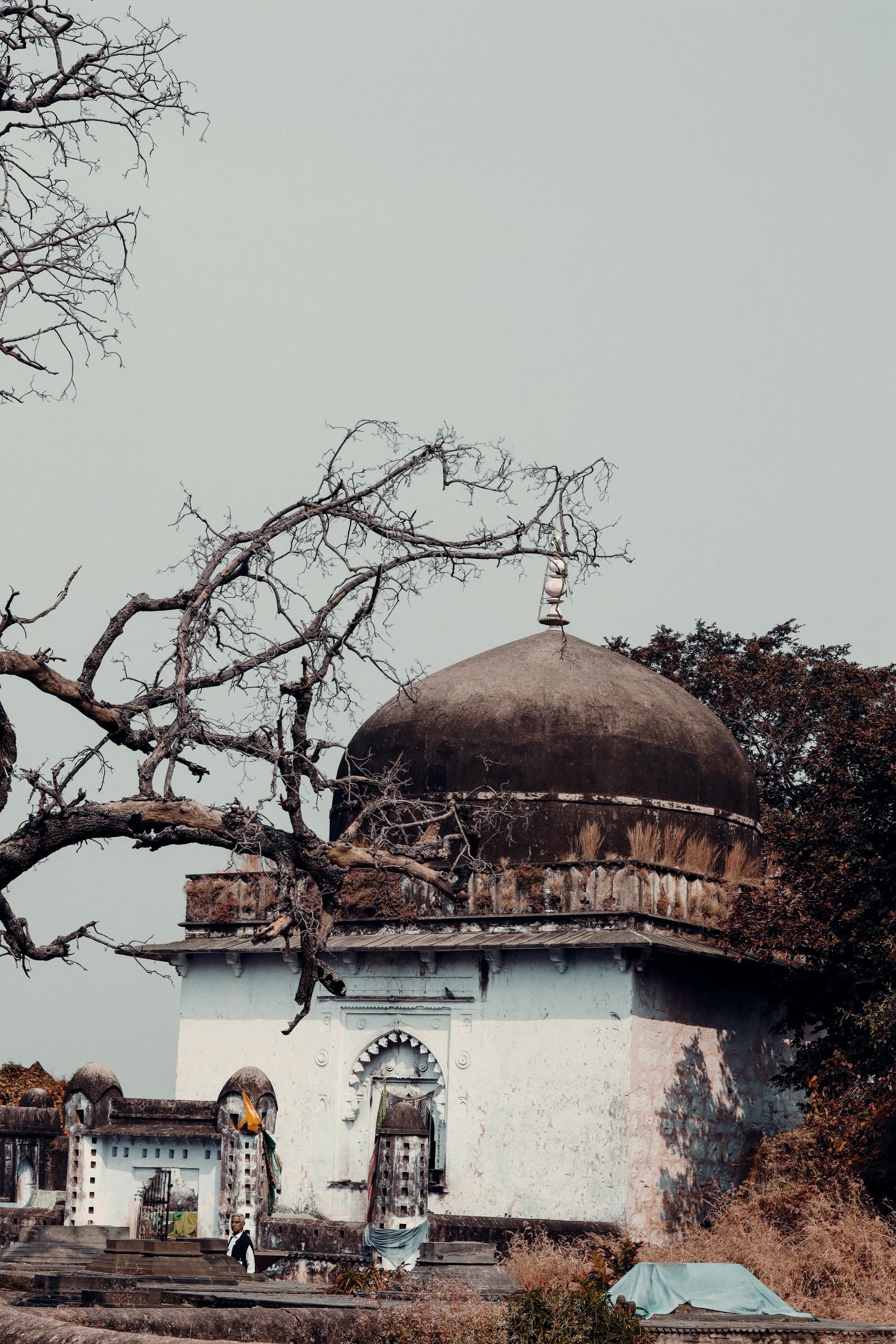 Ranthambore Fort