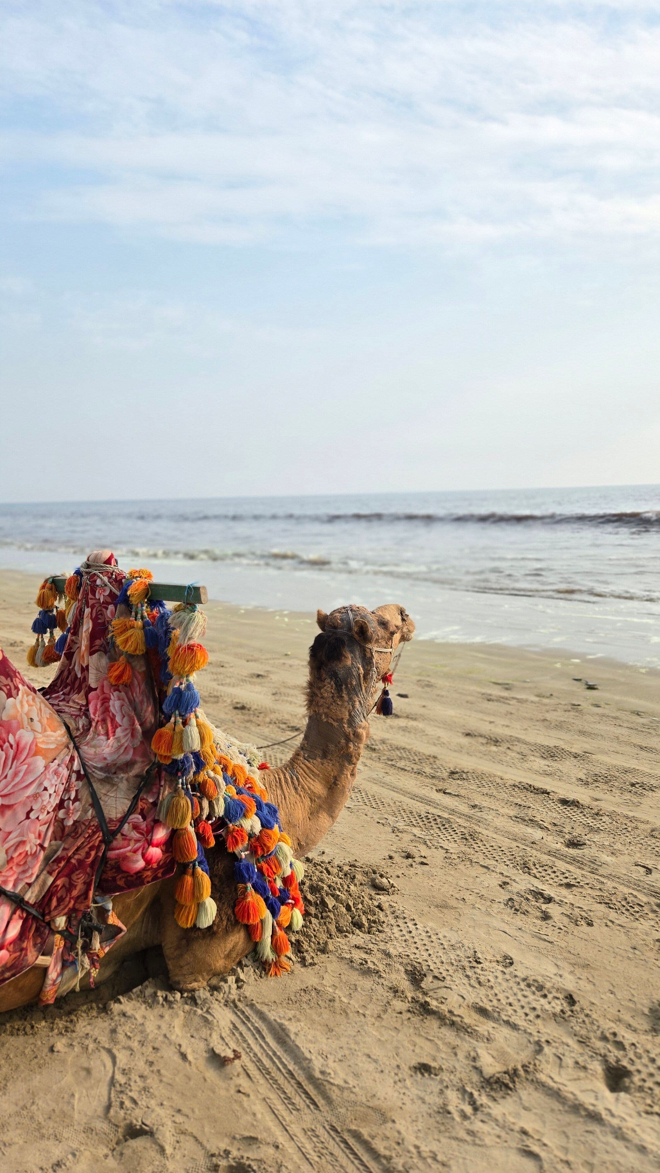Offbeat Ajmer Pushkar Weekend Getaway
