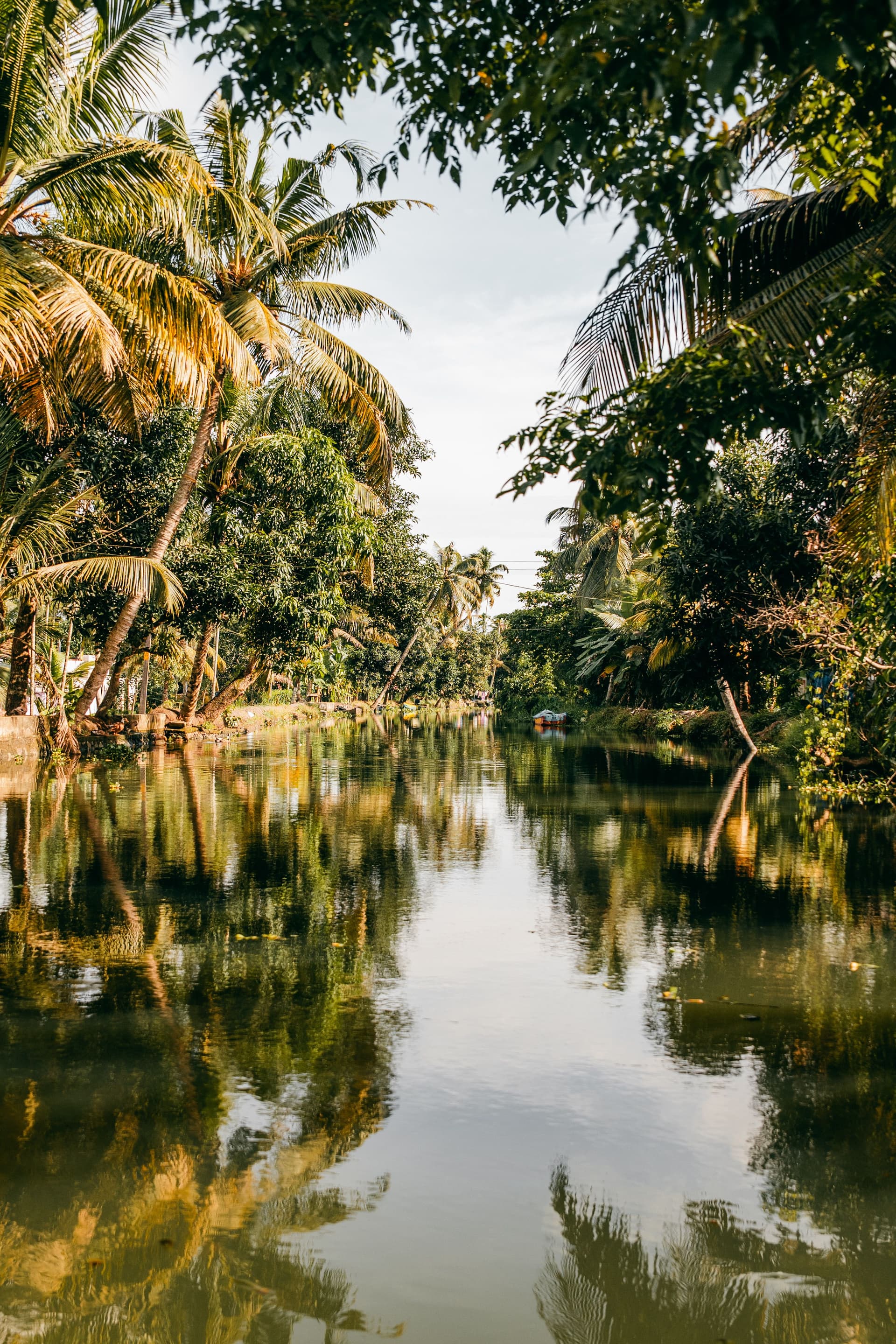 Tropical Serenity