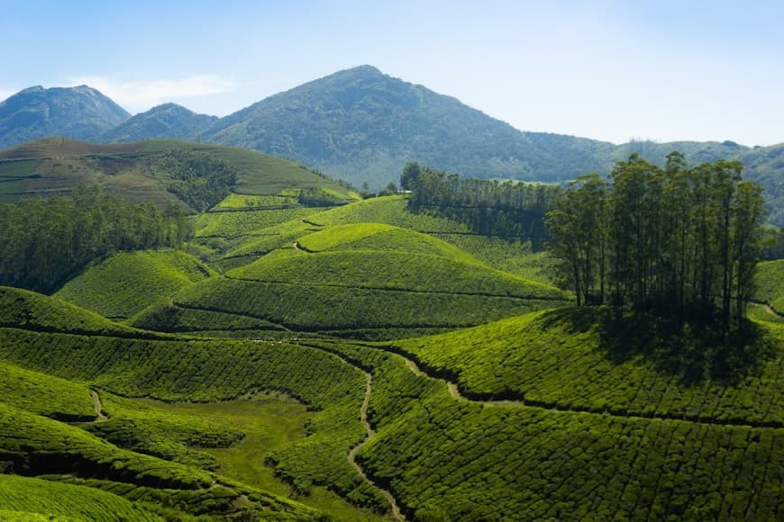 Kerala Adventure & Wildlife Package