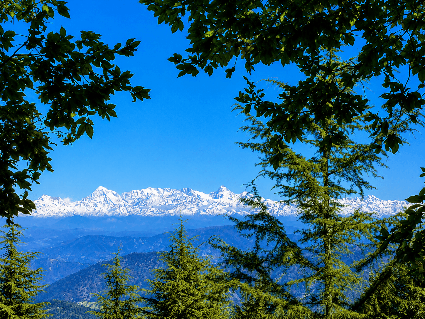 Snow View Point