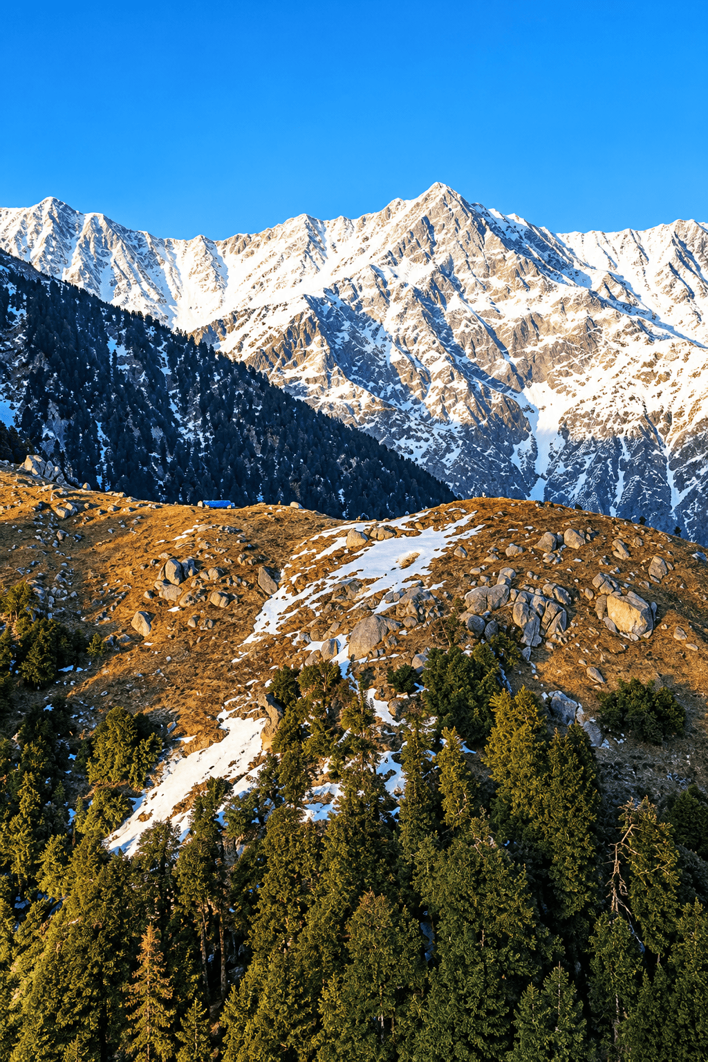 Triund Trek with Manali & Dharamshala Tour Package