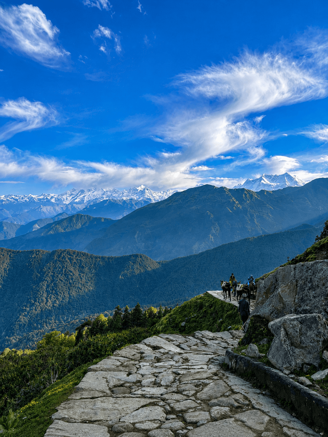Chopta Package itinerary