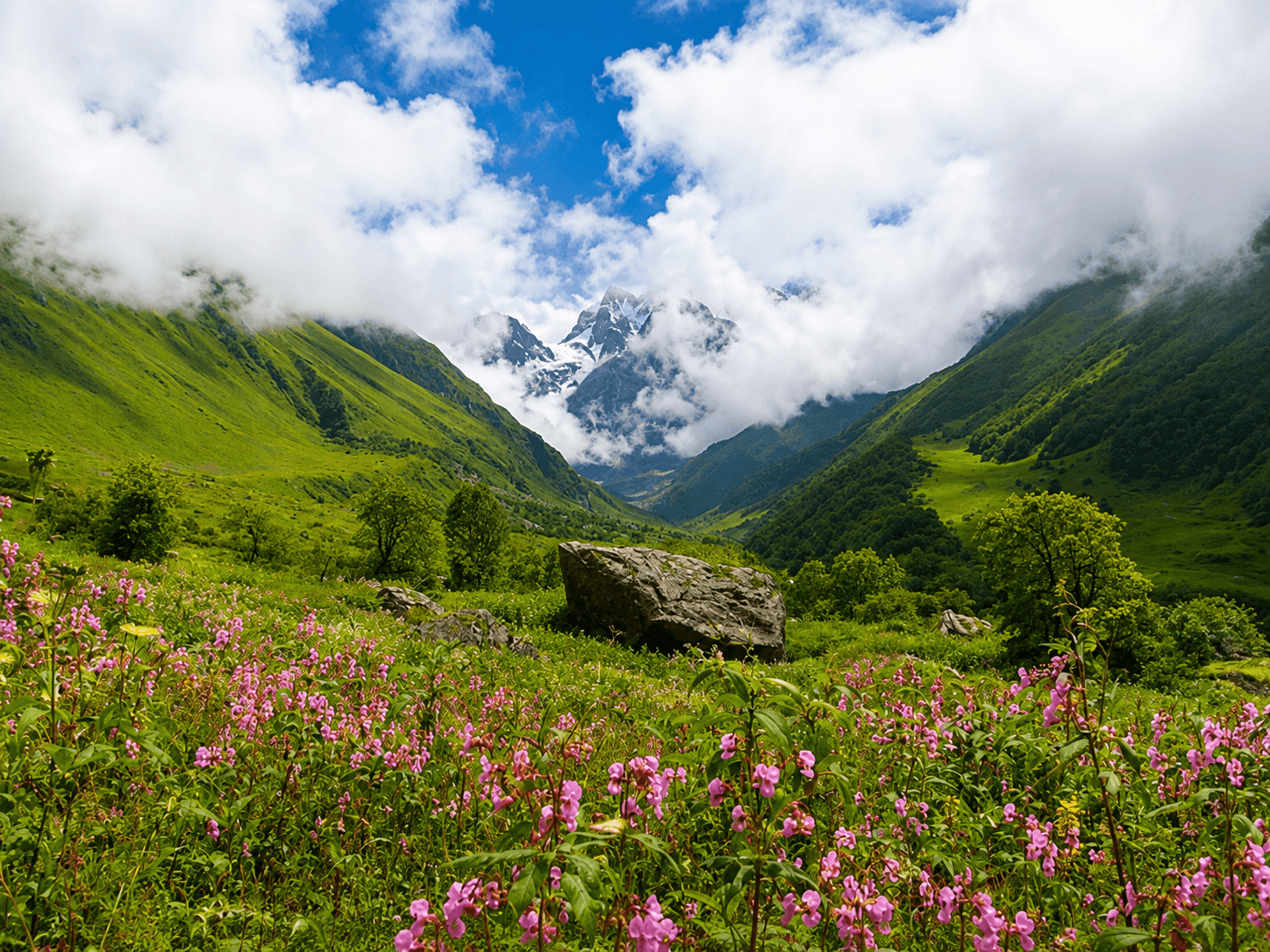 Valley of Flowers
