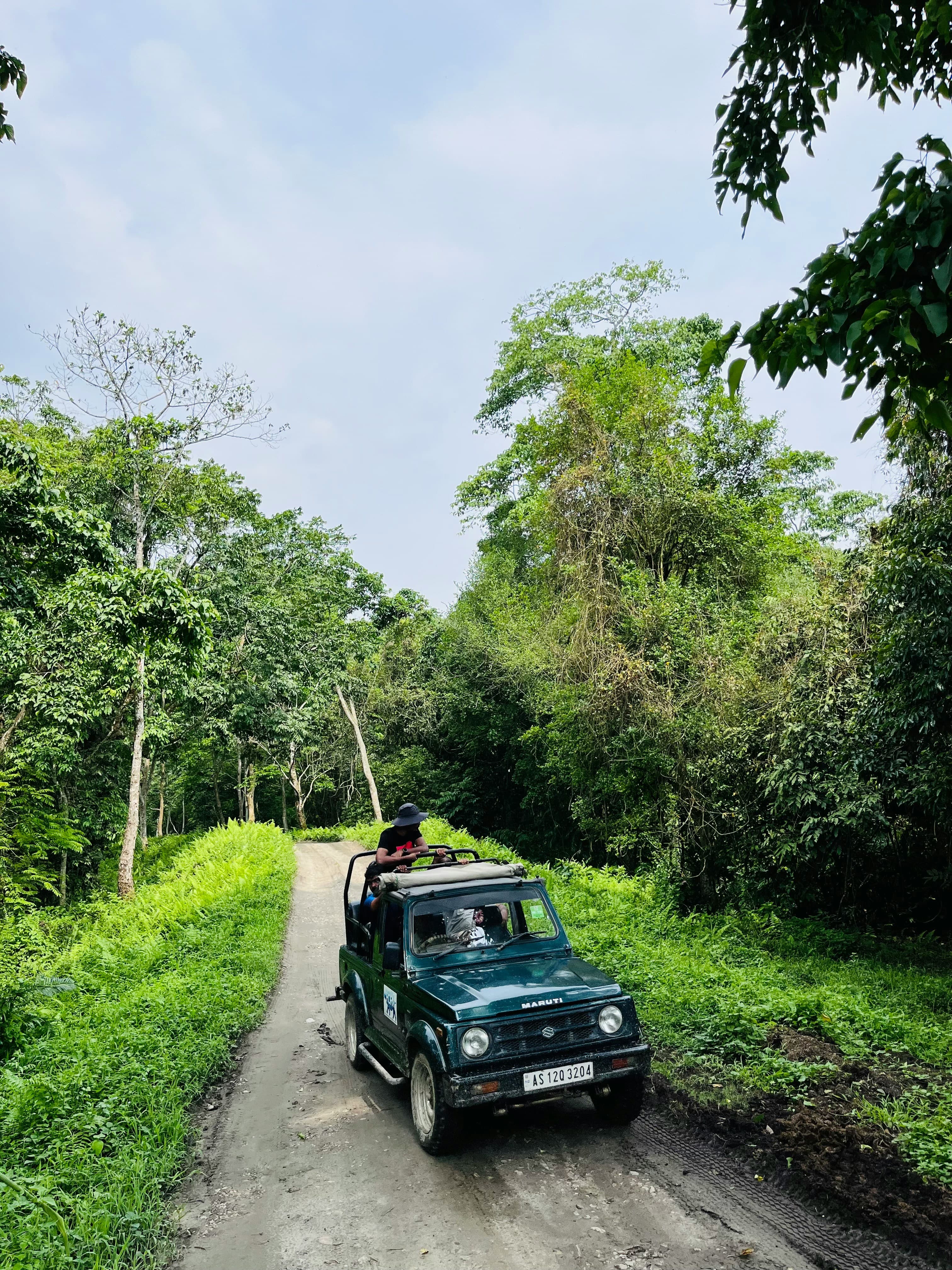 Jeep Safari