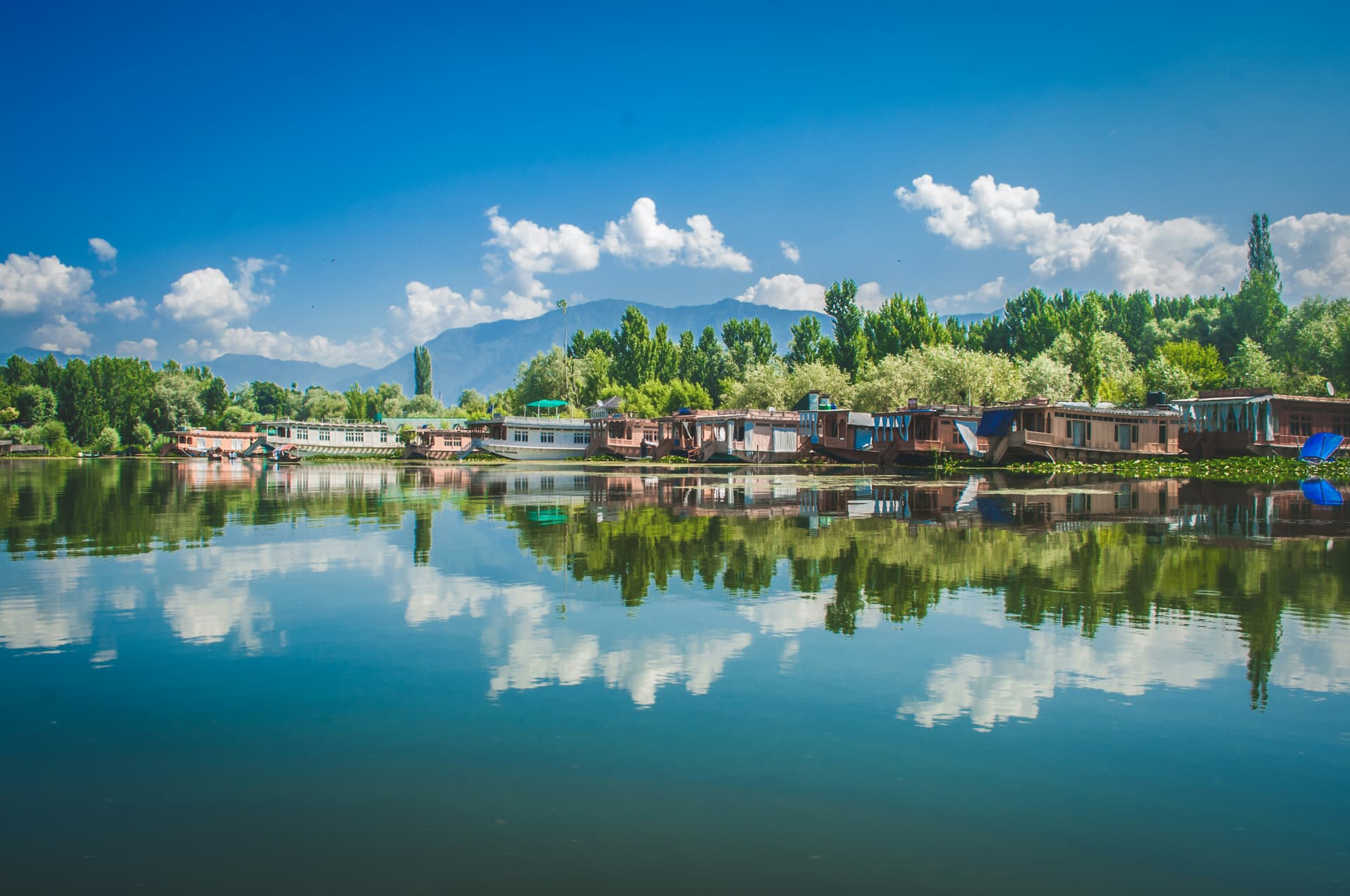 Jammu And Kashmir