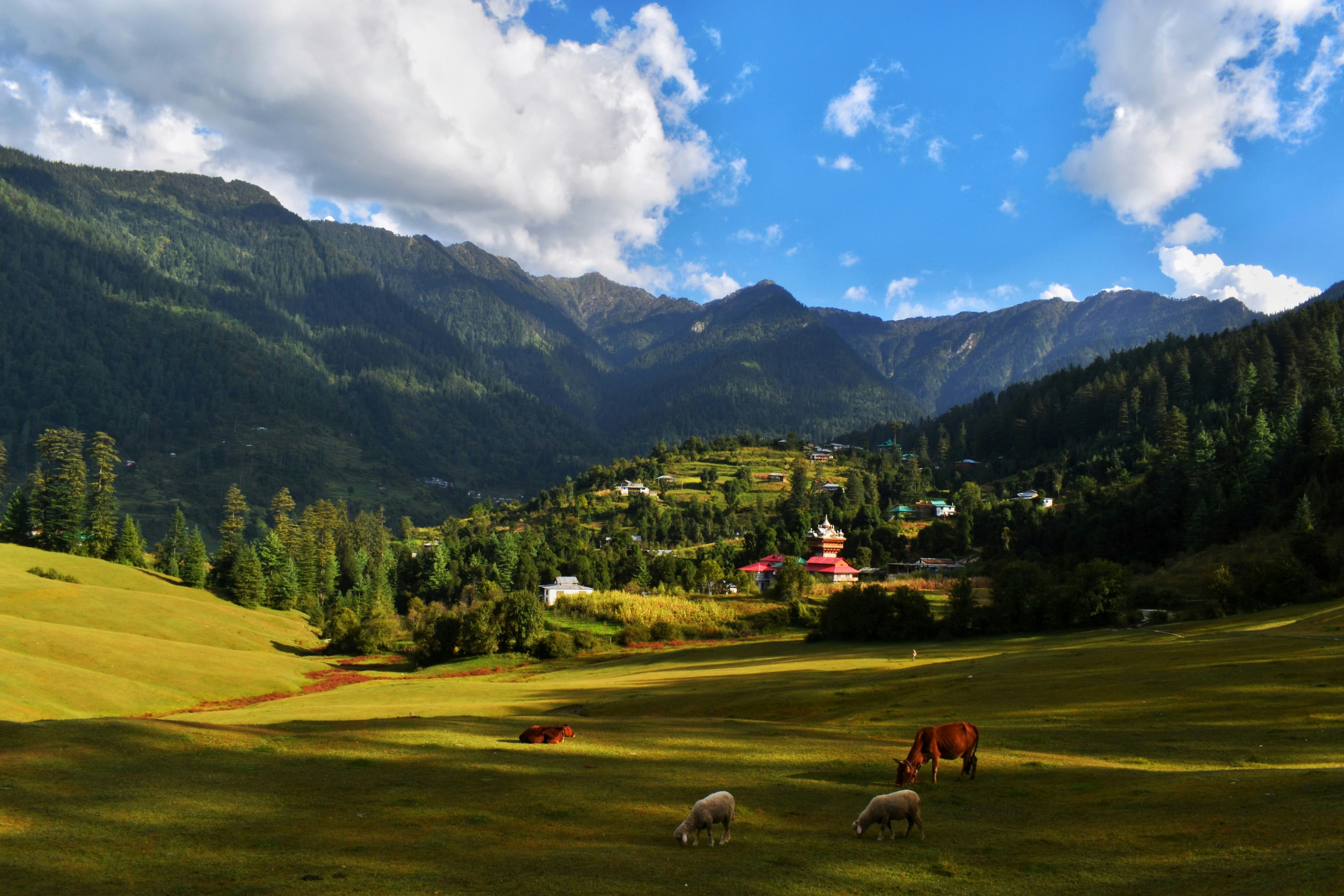 Himachal Pradesh