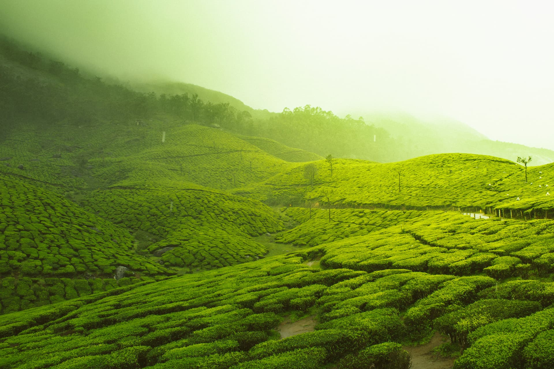 Kerala