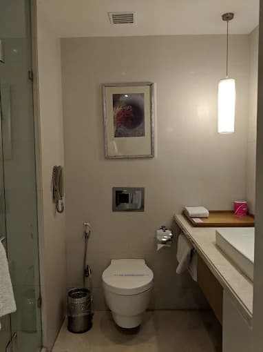 Platinum Suite