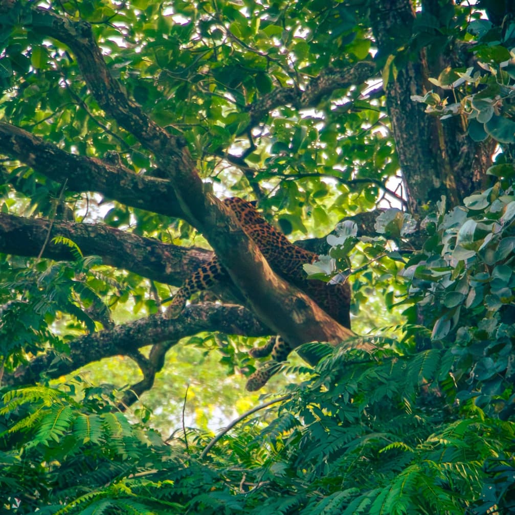 Grand Karnataka & Kerala Explorer — image 7