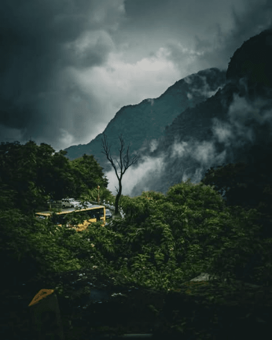 Mysore Coorg Ooty Family Escape — image 3