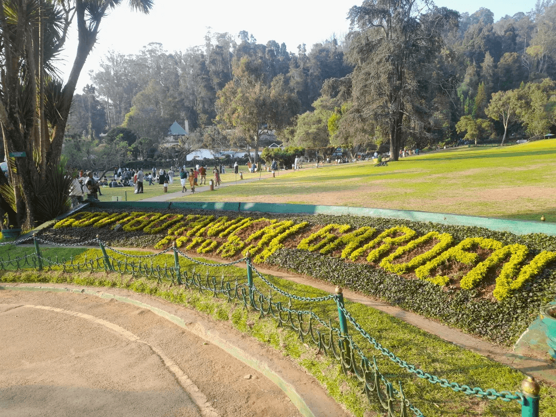 Mysore Coorg Ooty Family Escape — image 5