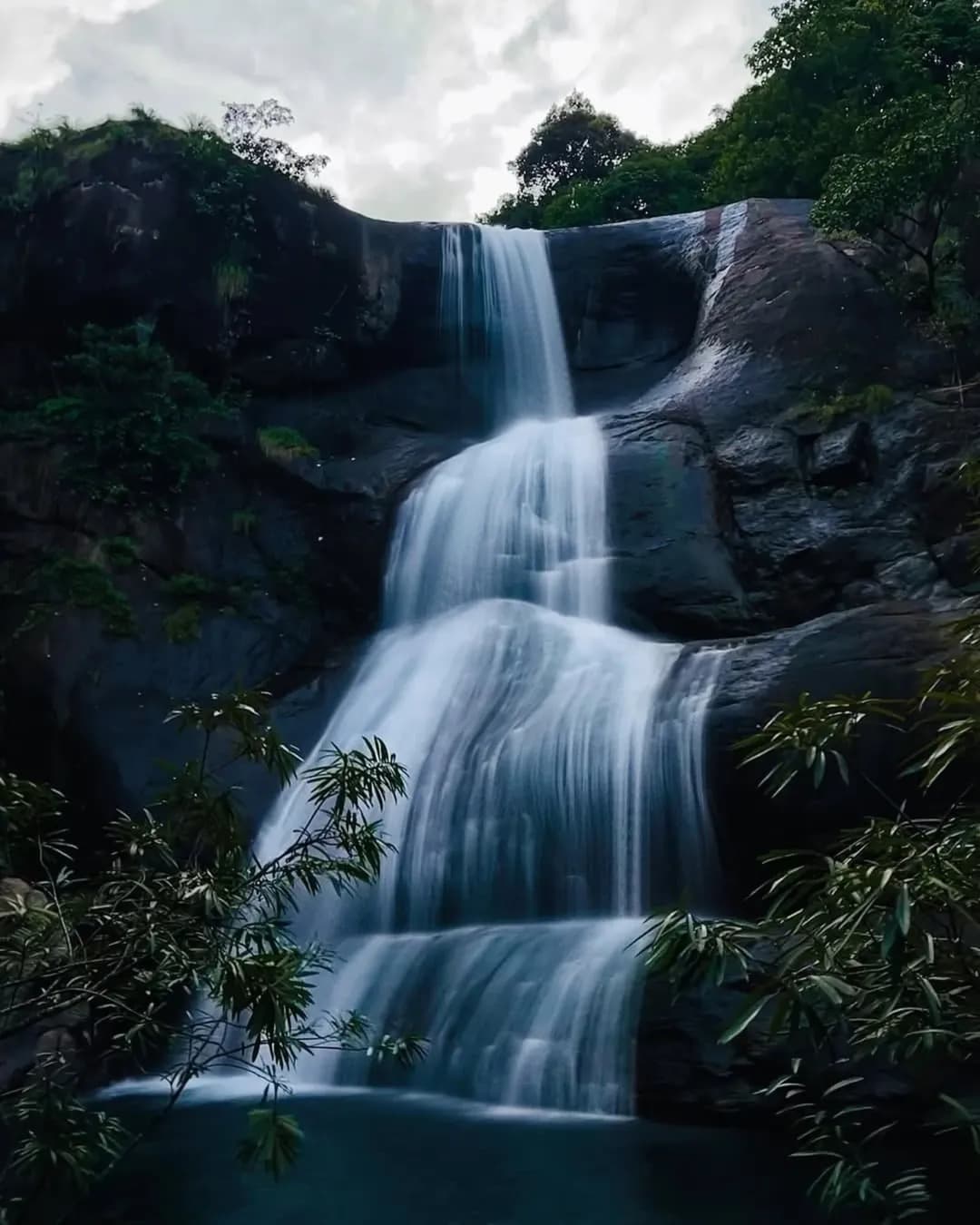 Wayanad & Coorg Nature Escape