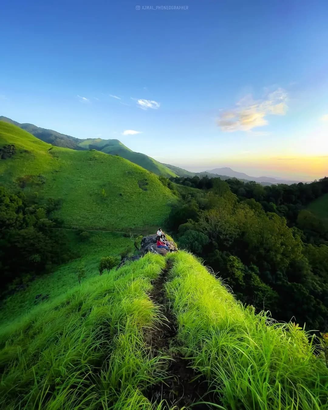 Lush Green Grasslands