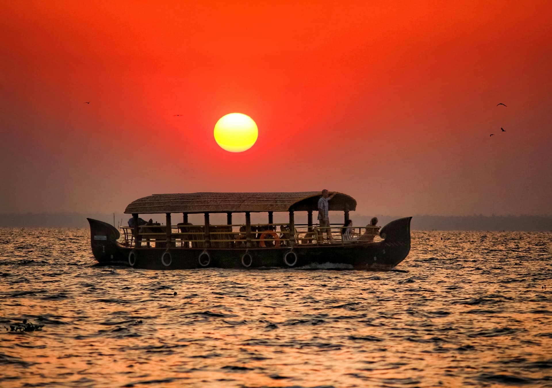 Kerala Hills & Backwaters Escape