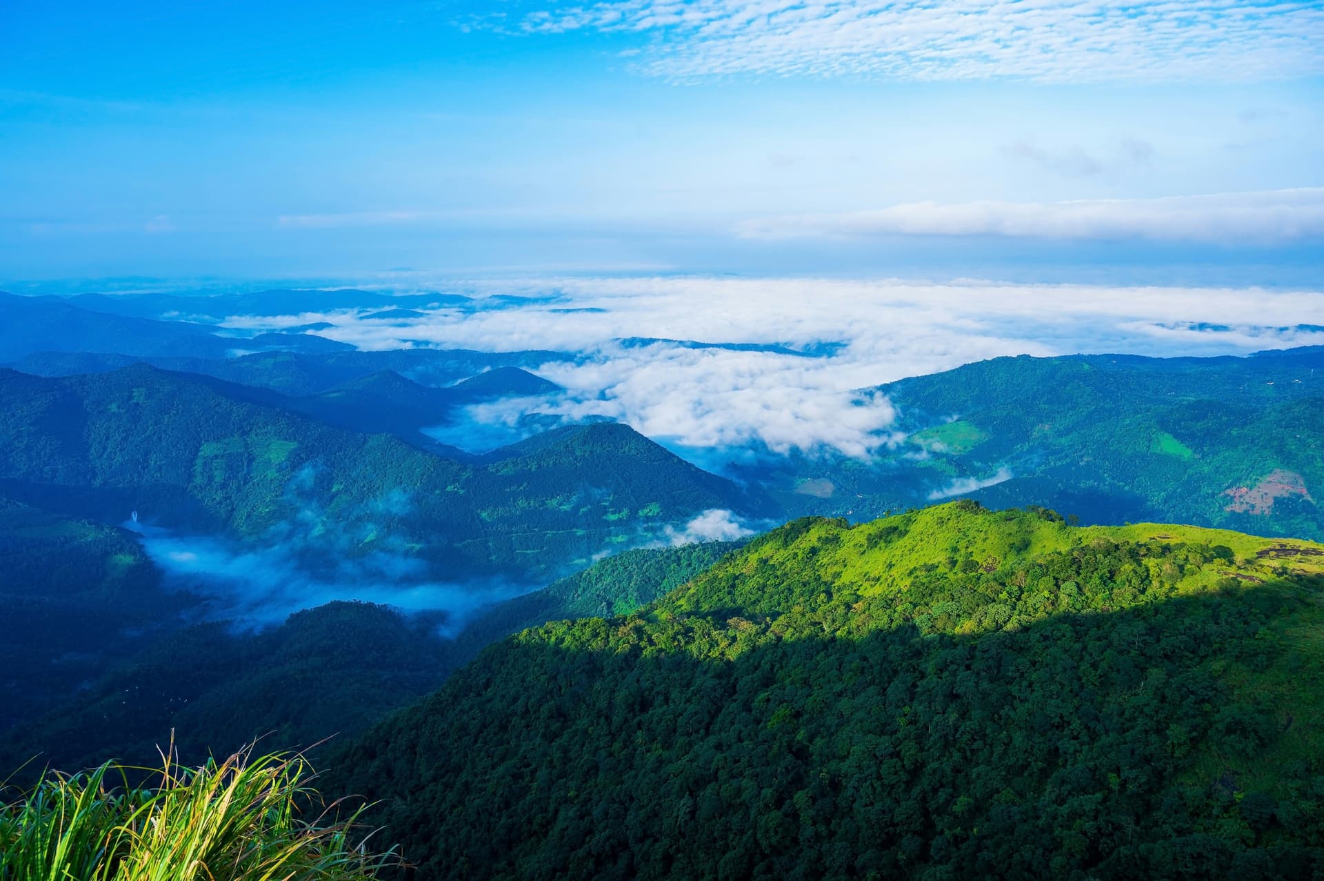 Munnar & Vagamon Explorer