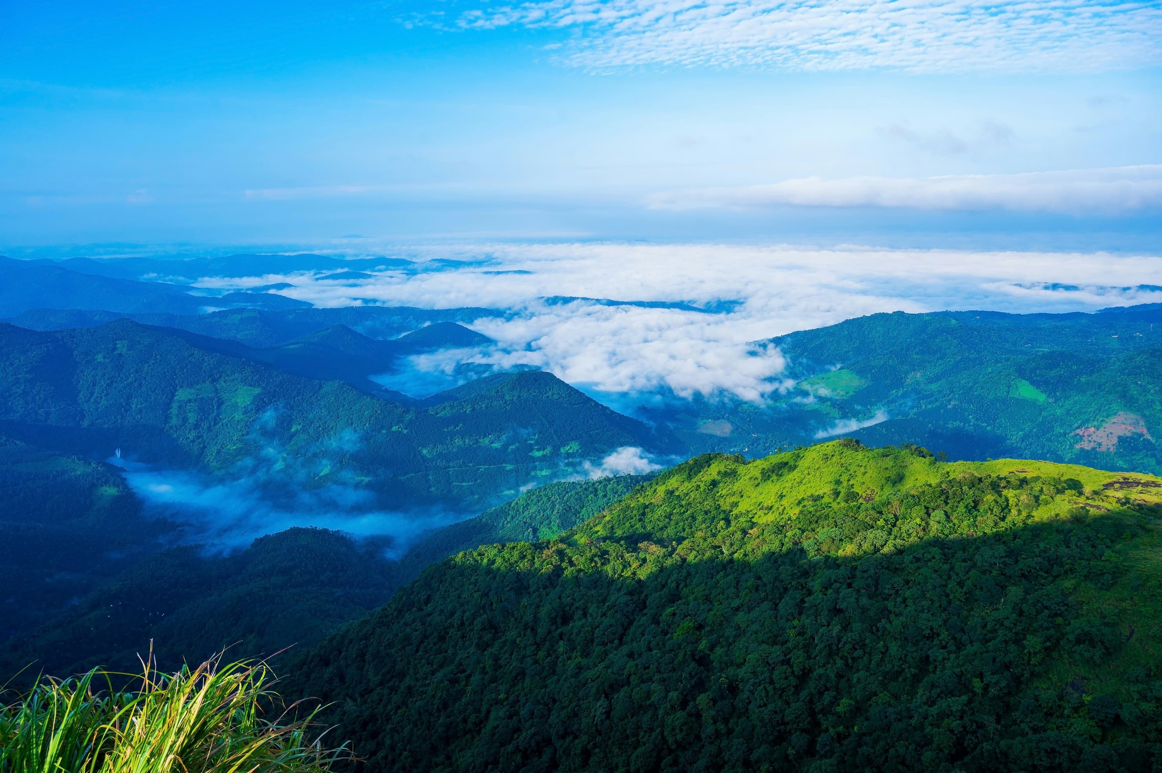 Munnar & Vagamon Explorer
