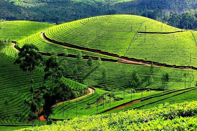 Kerala Friends Getaway Package photo 3