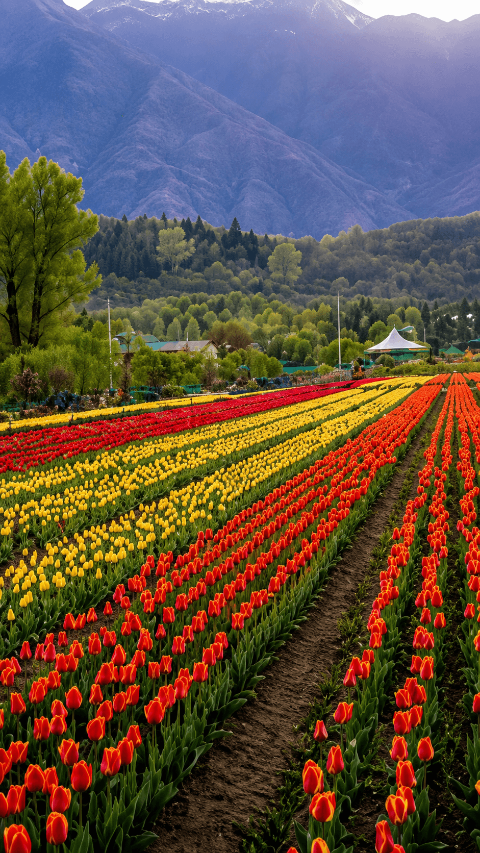 Dutch Garden