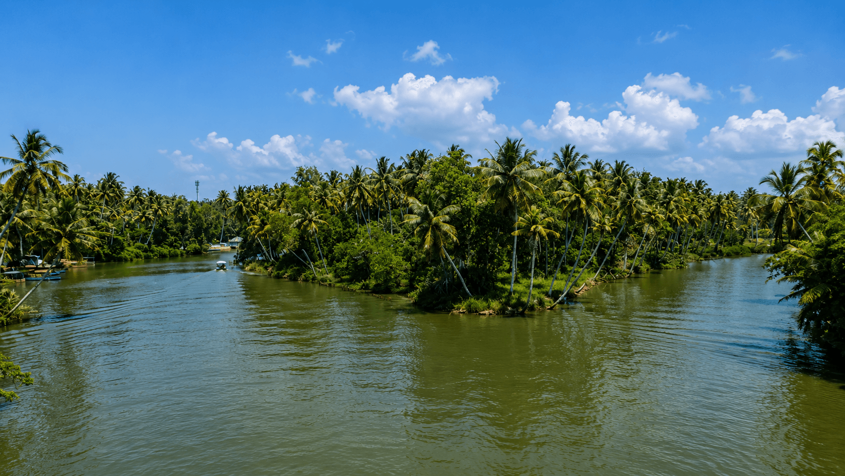 Kerala Family Vacation Package – Munnar & Backwaters — image 1