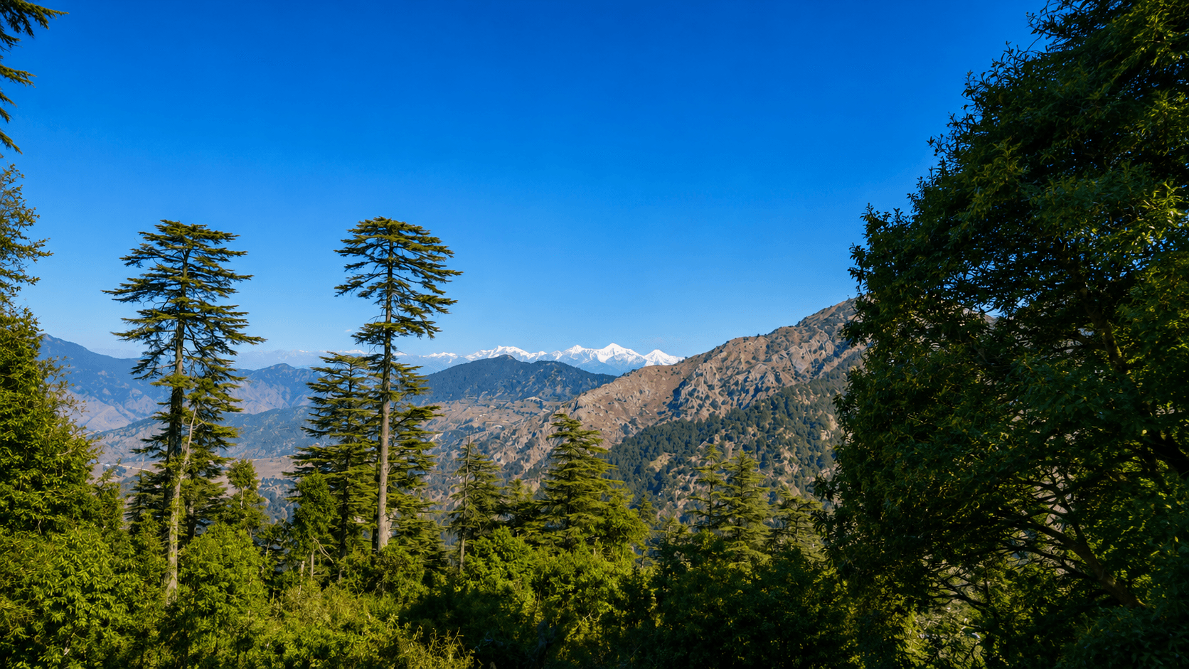 Dhanaulti Scenic Viewpoints