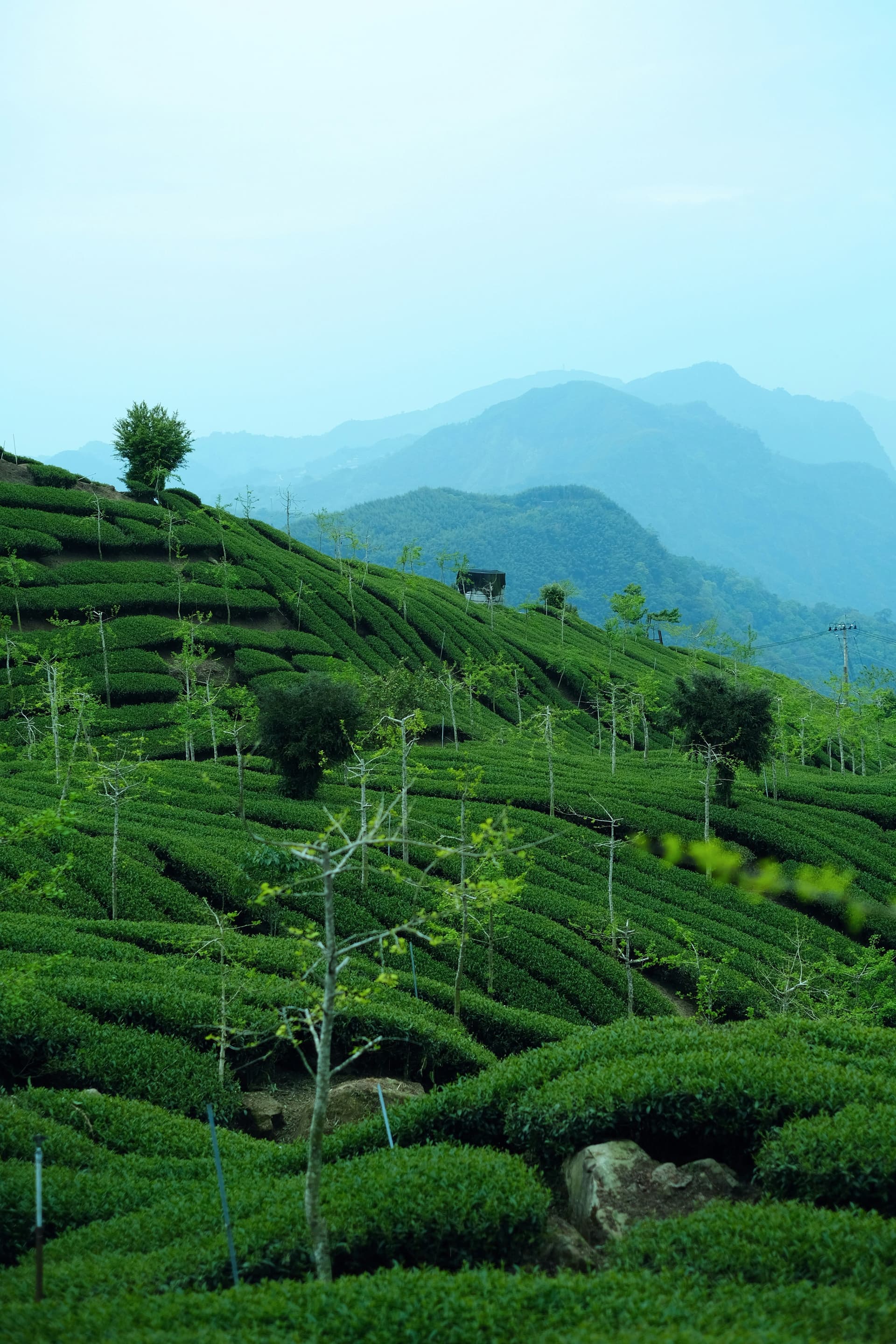 Grand Karnataka & Kerala Explorer — image 7