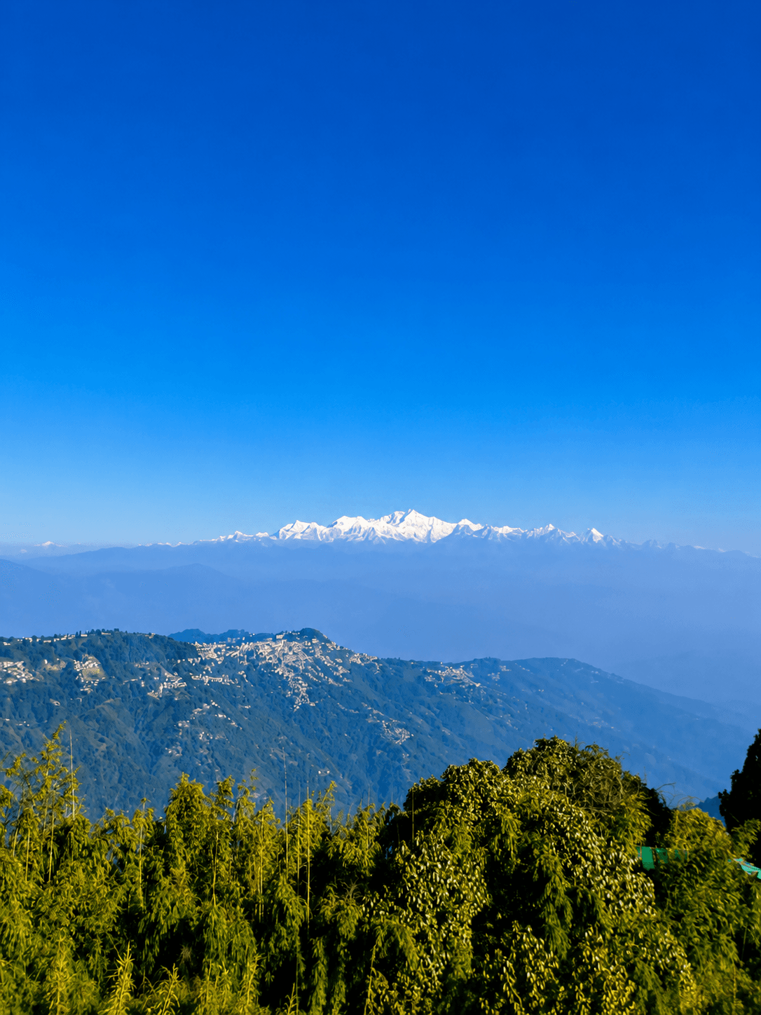 Darjeeling & Kalimpong Weekend Getaway — image 5