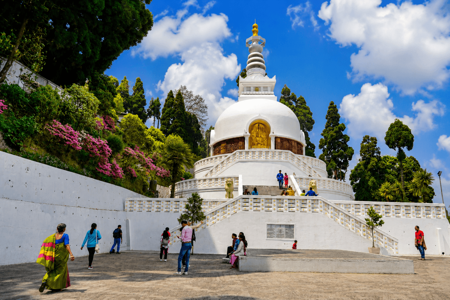 Darjeeling Himalayan Escape Tour Package — image 5