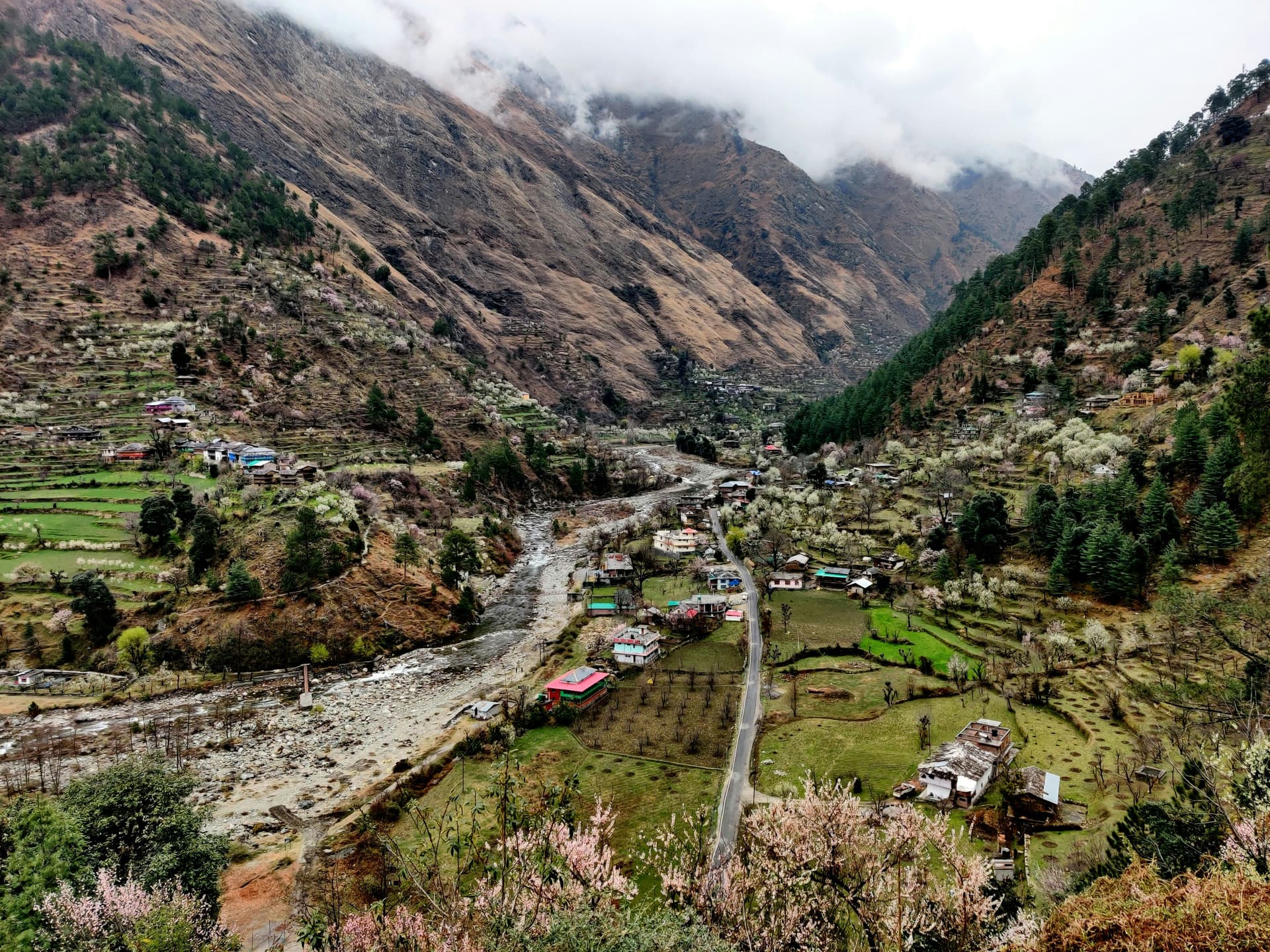 Jibhi Kasol Tour Package – Tirthan Valley & Parvati Valley Getaway — image 1