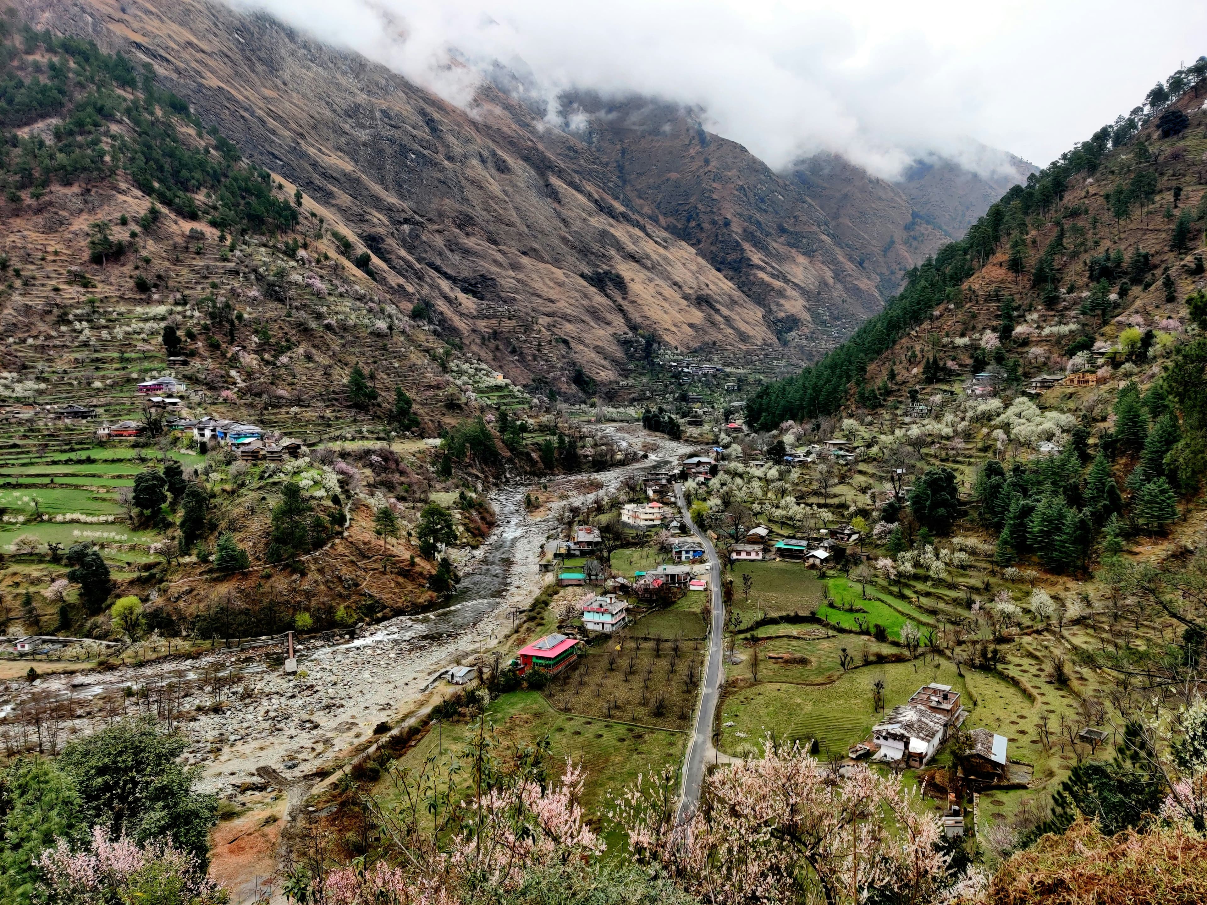 Jibhi Kasol Tour Package – Tirthan Valley & Parvati Valley Getaway — image 1