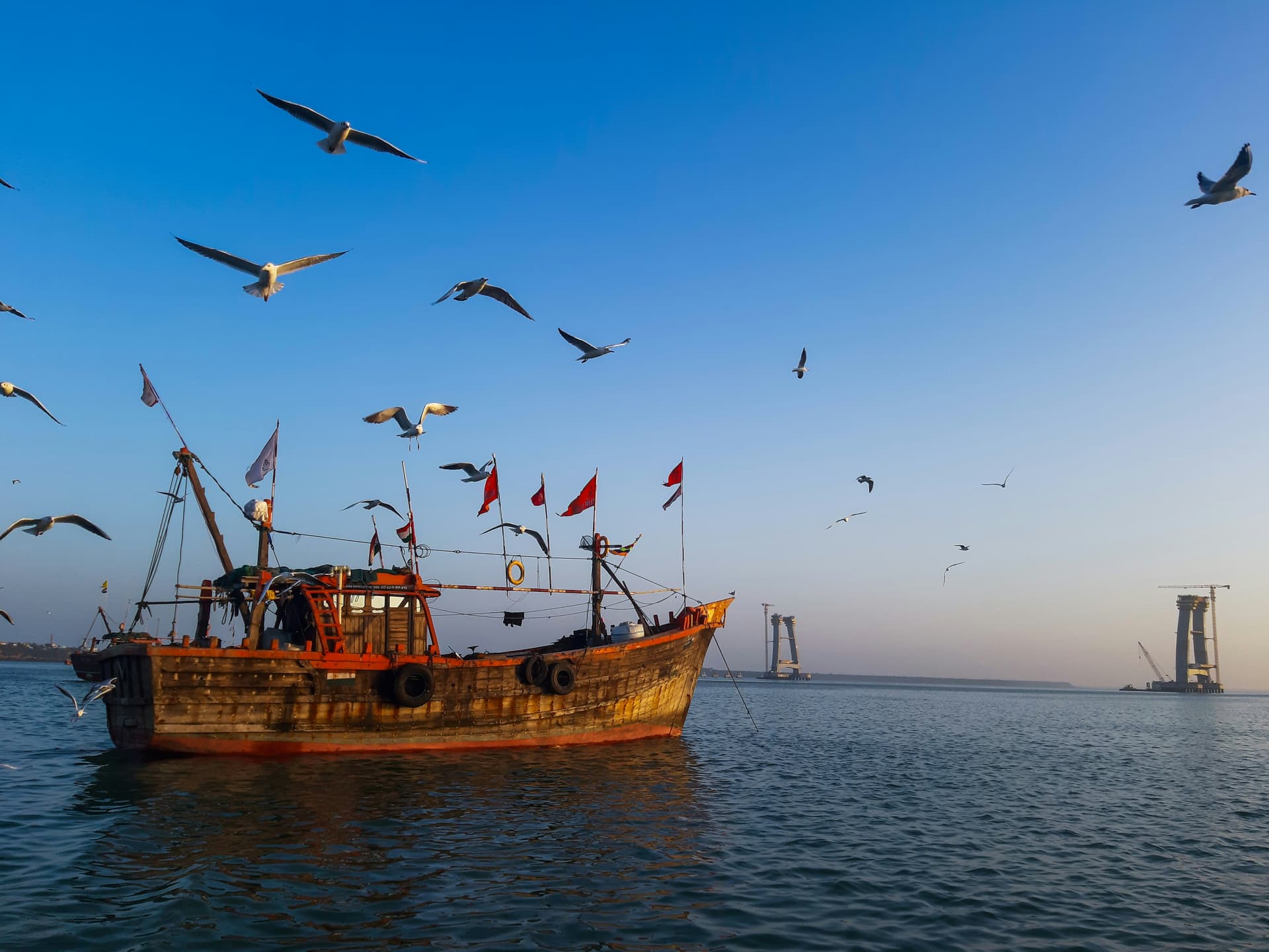 Dwarka Family Holiday Package |Gujarat — image 4